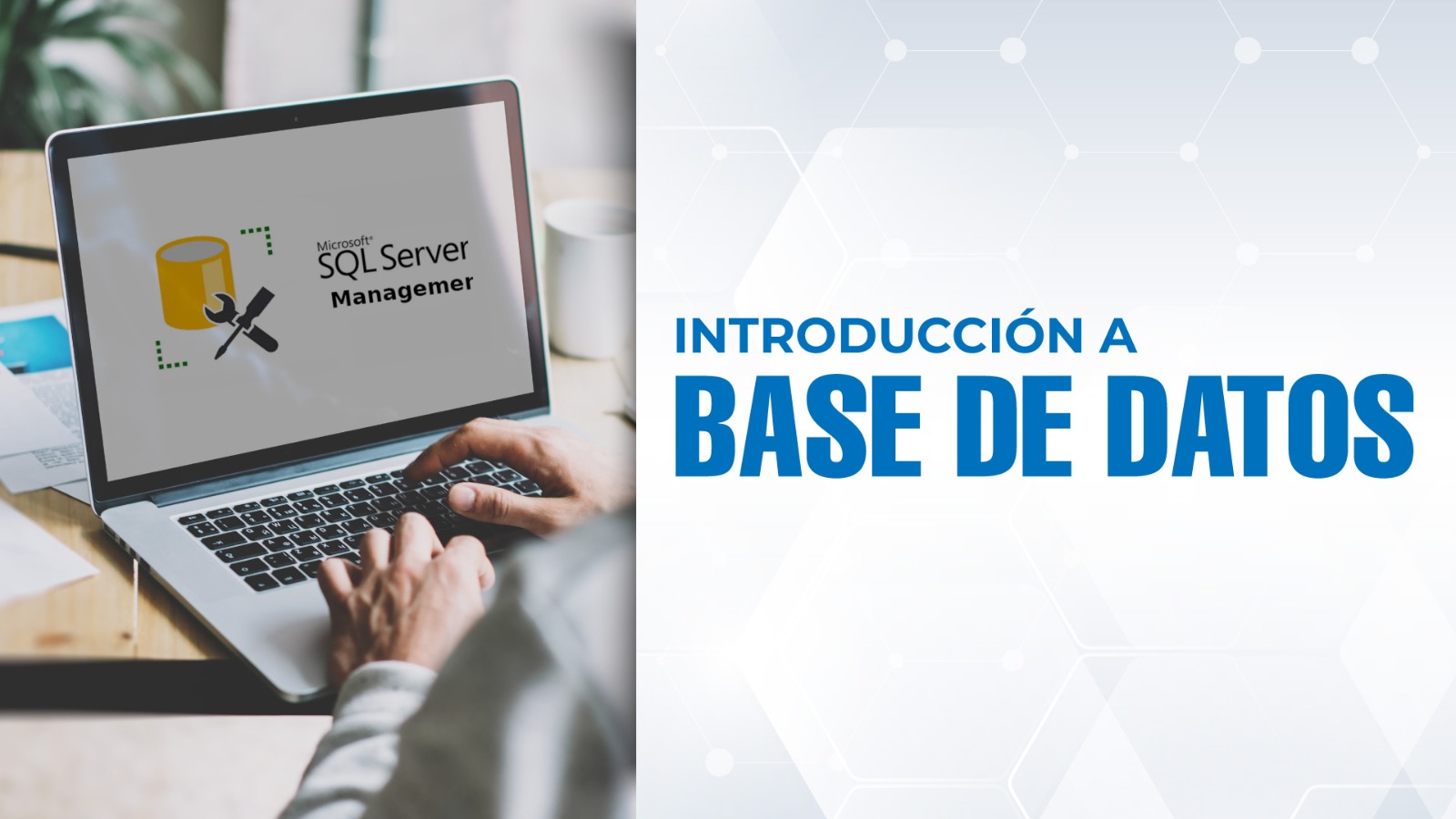 Curso de Introducción a la Base de Datos SQL